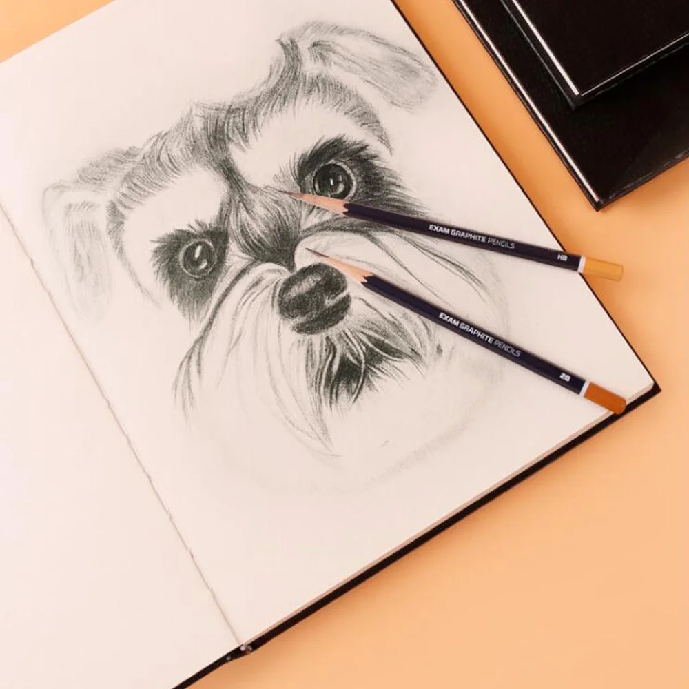 434.900+ Cuaderno Dibujo Fotografías de stock, fotos e imágenes