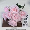 9 rose olandesi