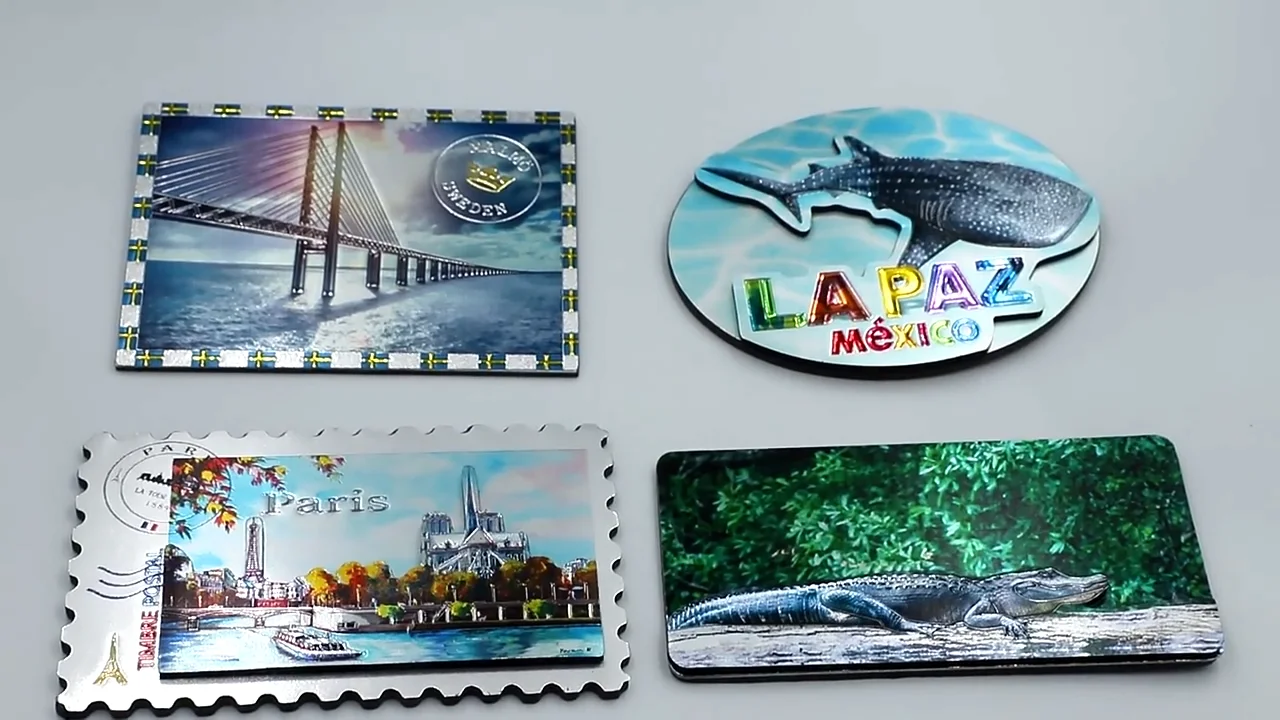 Unique Florida Souvenirs Wholesale Sea World Refrigerator Sticker 3d 2