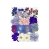 57# Dried Flower 25PCS
