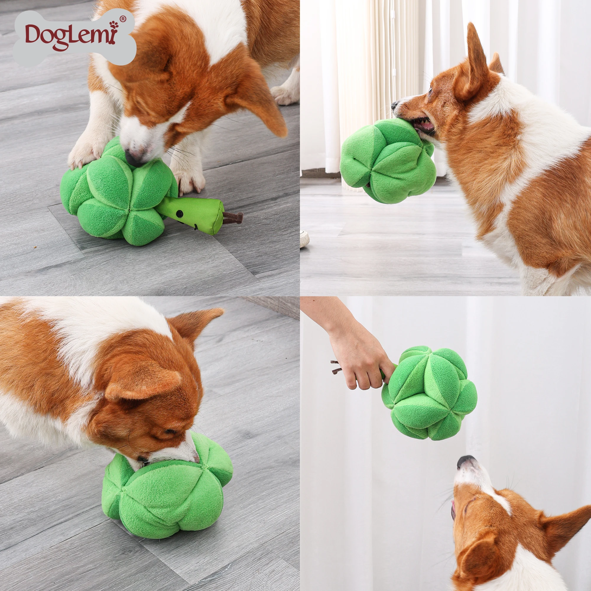 Interactive Broccoli Design Dog Toy Durable Small Medium Funny Squeakers Best Pet Carton Packaging Lovely Simple Cartoon Style