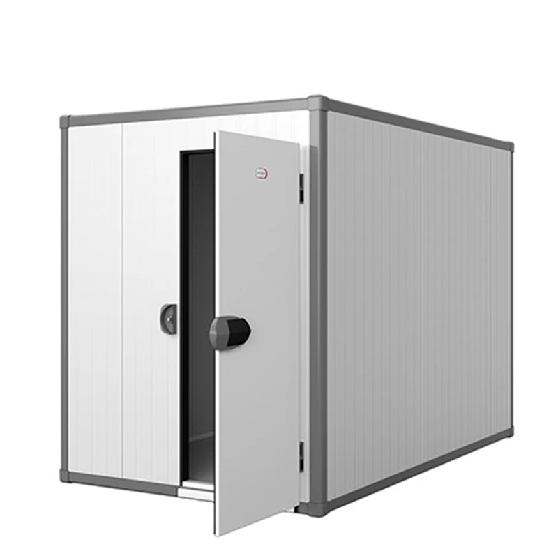 Led Light Cold Storage Room Blast Freezer Evaporative Air Cooled Compressor Condensing Units Cold Storage for Food
