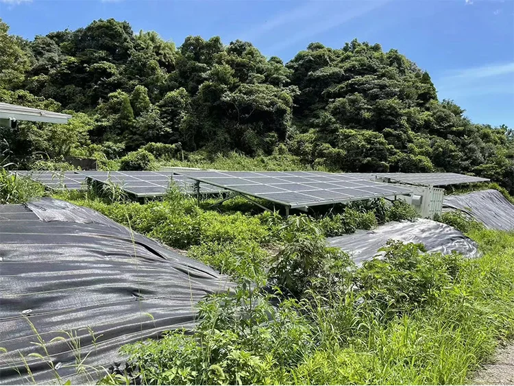 Sunlink Ground Mounted Farm System Solar Mounting Rails Bracket Kits ...