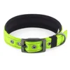 Verde brillante