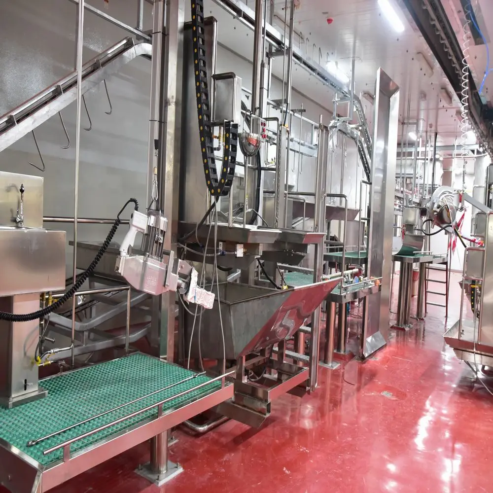 Kosher meat processing line with slaughtering equipment machine in cattle slaughterhouse