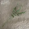 Mid-branch white-green