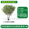 Árbol de arce verde de madera maciza de 3,5 m de altura (enlace de depósito)