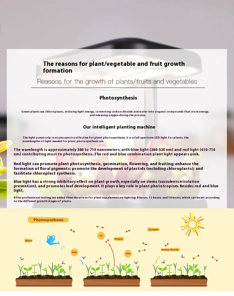 H9048e674e5874e7bbac3f30244458821J