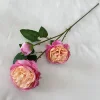 Bordo rosa