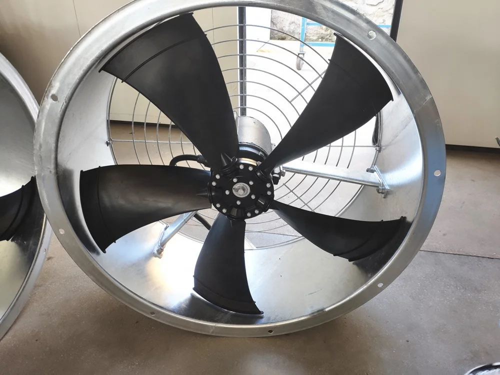 ファン・アーホルト Amazon | Spare parts スクーター オイル ポンプ ASSY 50 Dio G