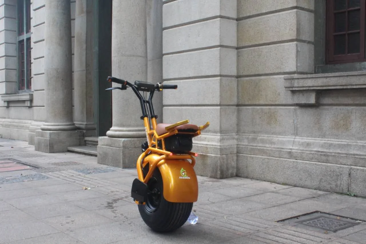 1000w Powerful Adult Self Balancing Electric Unicycle/ Scooter