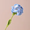 Gradient Blue Carnations