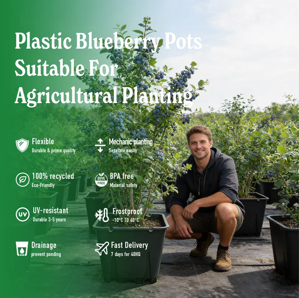 Multi-level drainage system and high-leg design in 25L blueberry container preventing root rot and improving oxygen uptake