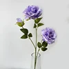 Viola cristallo
