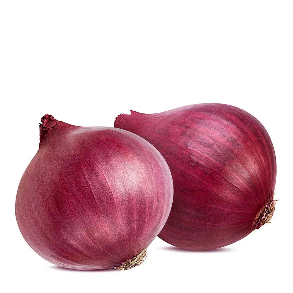 Fresh Pakistani Big Onion For Export Customized Size Wholesale Cheap