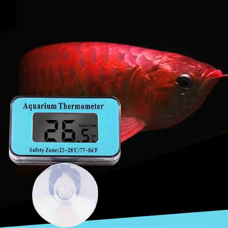  JEBO Aquarium and Ambient Temperature in and Out Digital  Thermometer : Pet Supplies