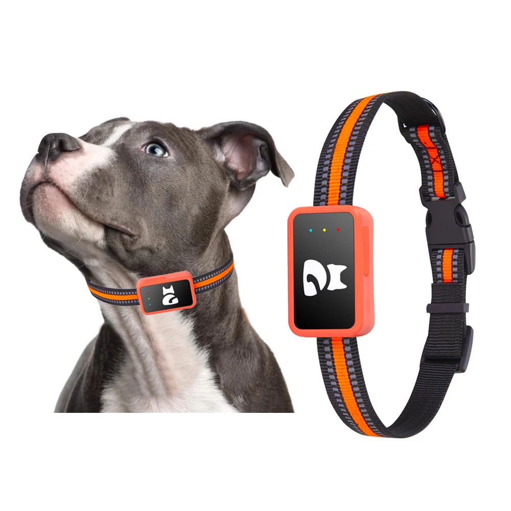 New Arrival G68P 4G Mini Pets GPS Tracker Step Counter Calorie Active Time Health Monitor Tracking Device for Cats Dogs Animals