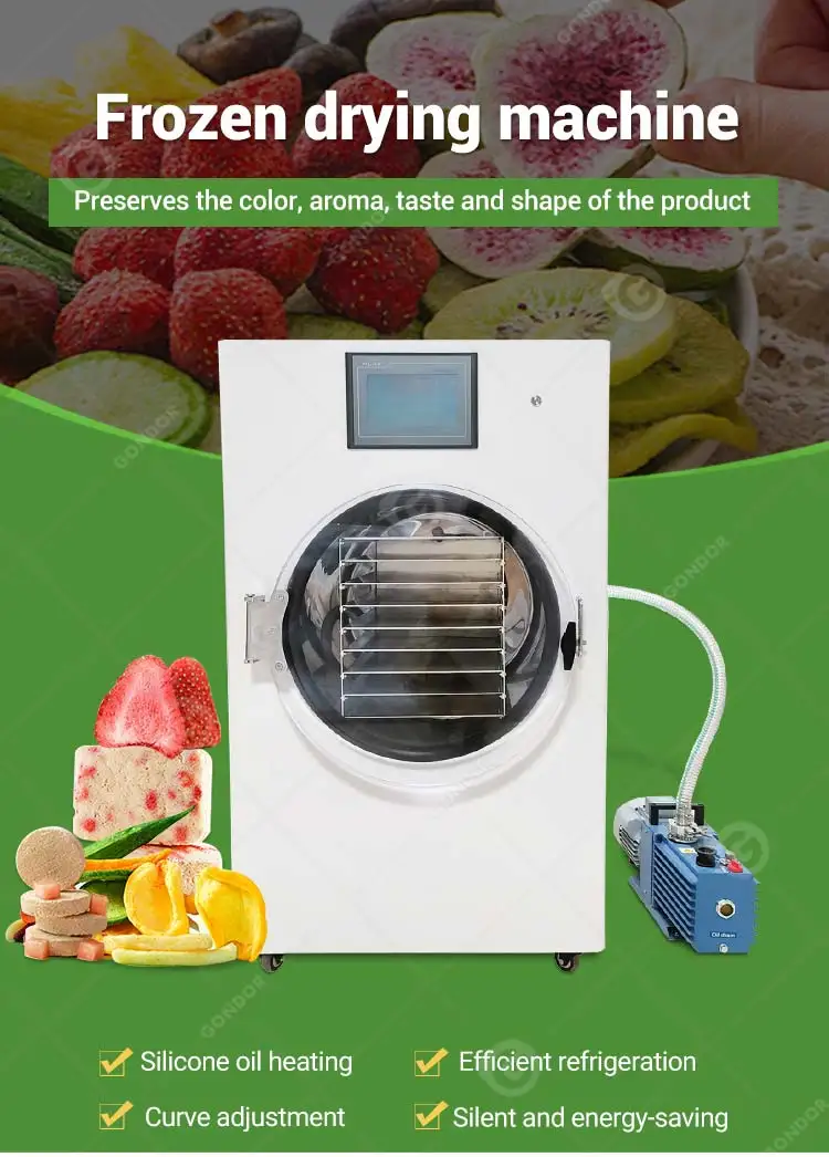 Liquid Dryer Food Maker Small Lyophilizer Vacuum Freezing Drying Machine Portable to Freeze Dry