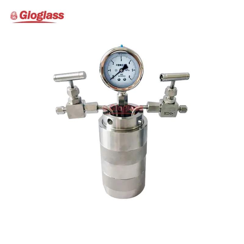 High Temperature High Pressure Reactor Lab Polymer Synthesis Autoclave Reactor