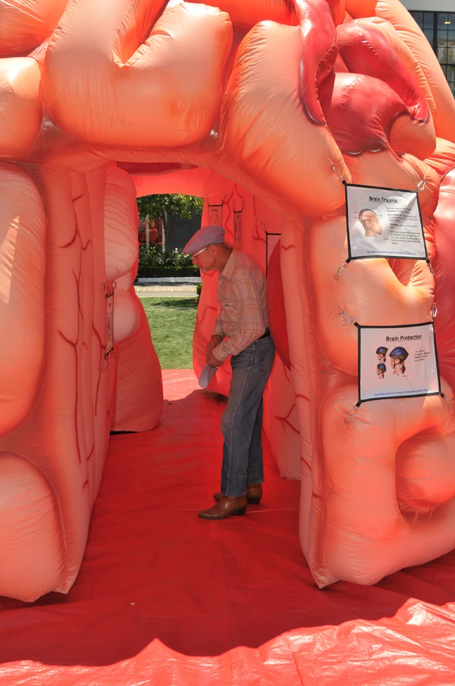 Large Inflatable Brain Model Exhibit Human Body Medical Artificial