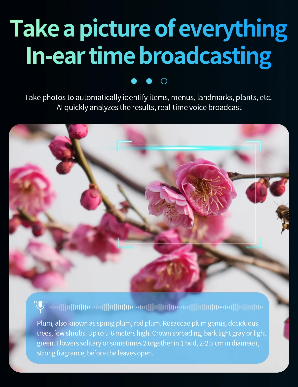 SANVNET CY01 Smart AI Glasses 8MP HD Camera Wifi Transfer Translation Meeting Recording ENC Sunglasses Smart Wearable Headset