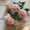 Rosa Transizione