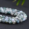04-tree agate