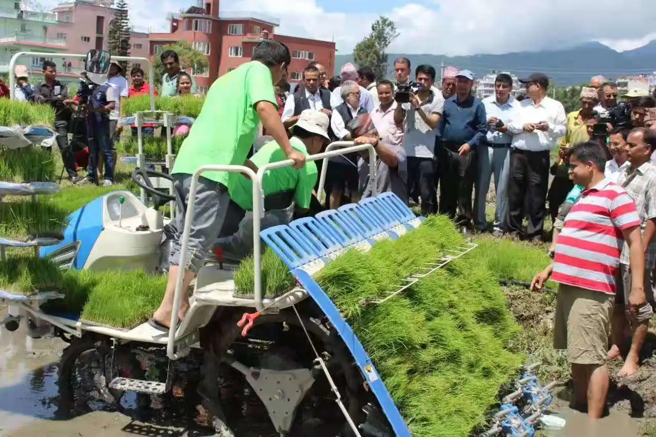 Rice Transplanter 8 Row Seeders & Transplanters Rice Planter for Walking Tractor Riding Tyle Rice Paddy Transplanter with Prices