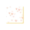 ผ้าเช็ดปาก 33*33 -16