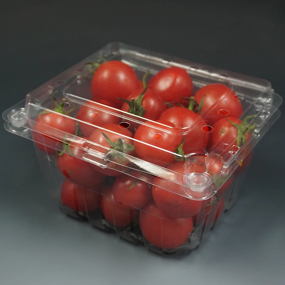 Square Shape Design Disposable Plastic Box Fruit Salad Packaging With Handle Dry Fruits Box Packaging Dried Fruit Box