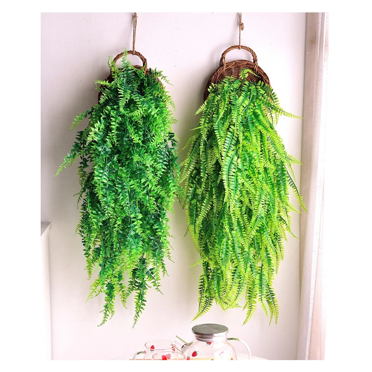 moto drachenbaum Dracaena Lemon Drachenbaum XXL 110cm – vielgrün main image 0