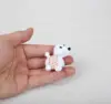 Piccolo cane bianco