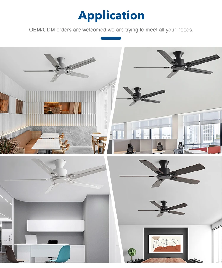 Ceiling Fan, 110-220V, 35 W - detail 24