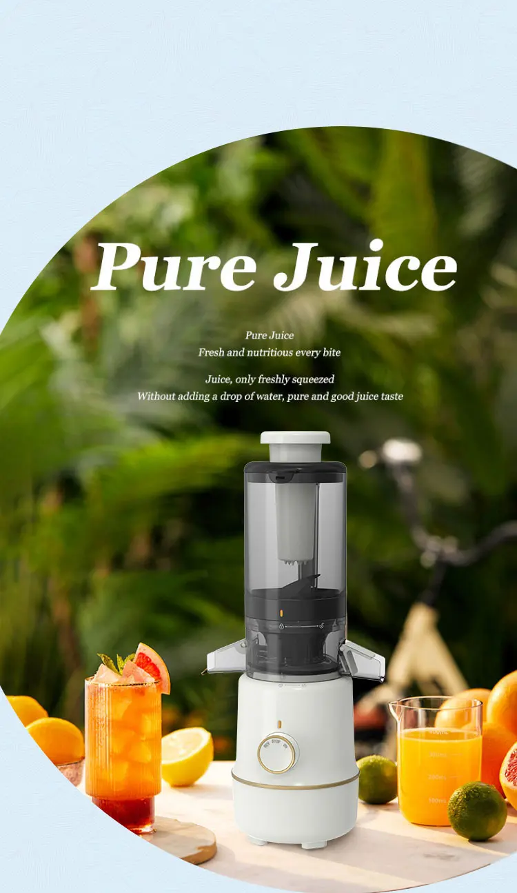 Professional Juicer Extractor Machine With Cold Press Juicer High Juice