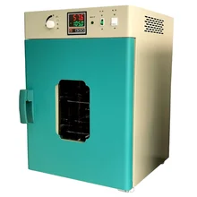 Vertical Hot Air Drying Oven Laboratory Small Oven