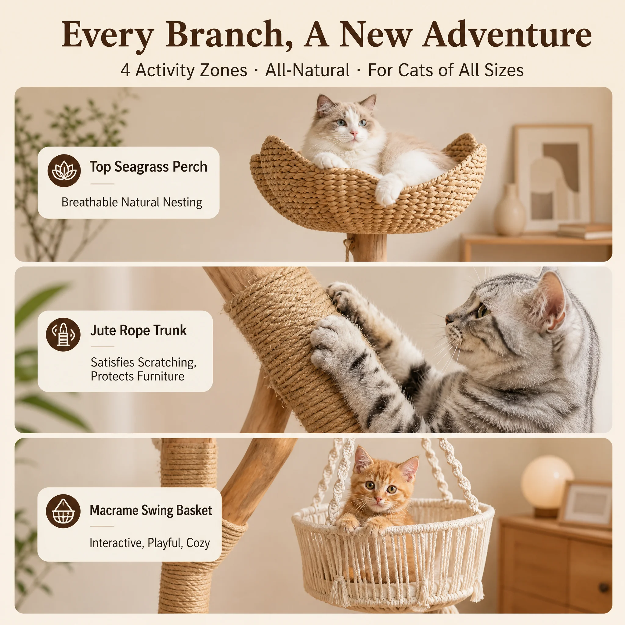 Natural Solid Wood Fruitwood Cat Climbing — Product details 8