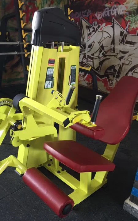 Techno Seated Leg Curl Fitness Machine/Gym Equipment for Medical Use