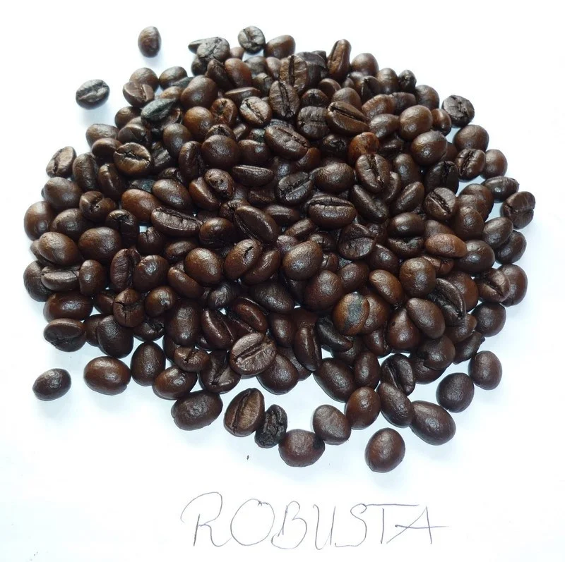 Robusta Roasted Coffee Beans Suppliers In An Thai Cafe With High Quality And Best Competitive Price Used For Coffee Grinder Buy Vietnam Coffee Beans Private Label Manufacturer Of Coffee Roasted Beans Coffee Bean