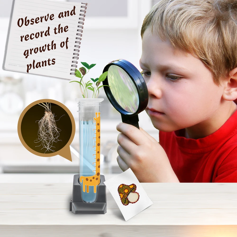 Children STEM Plant Growing Botany Experiments Plant Earth Kit DIY Toys  Education Science Toys for Children to Learn Farming