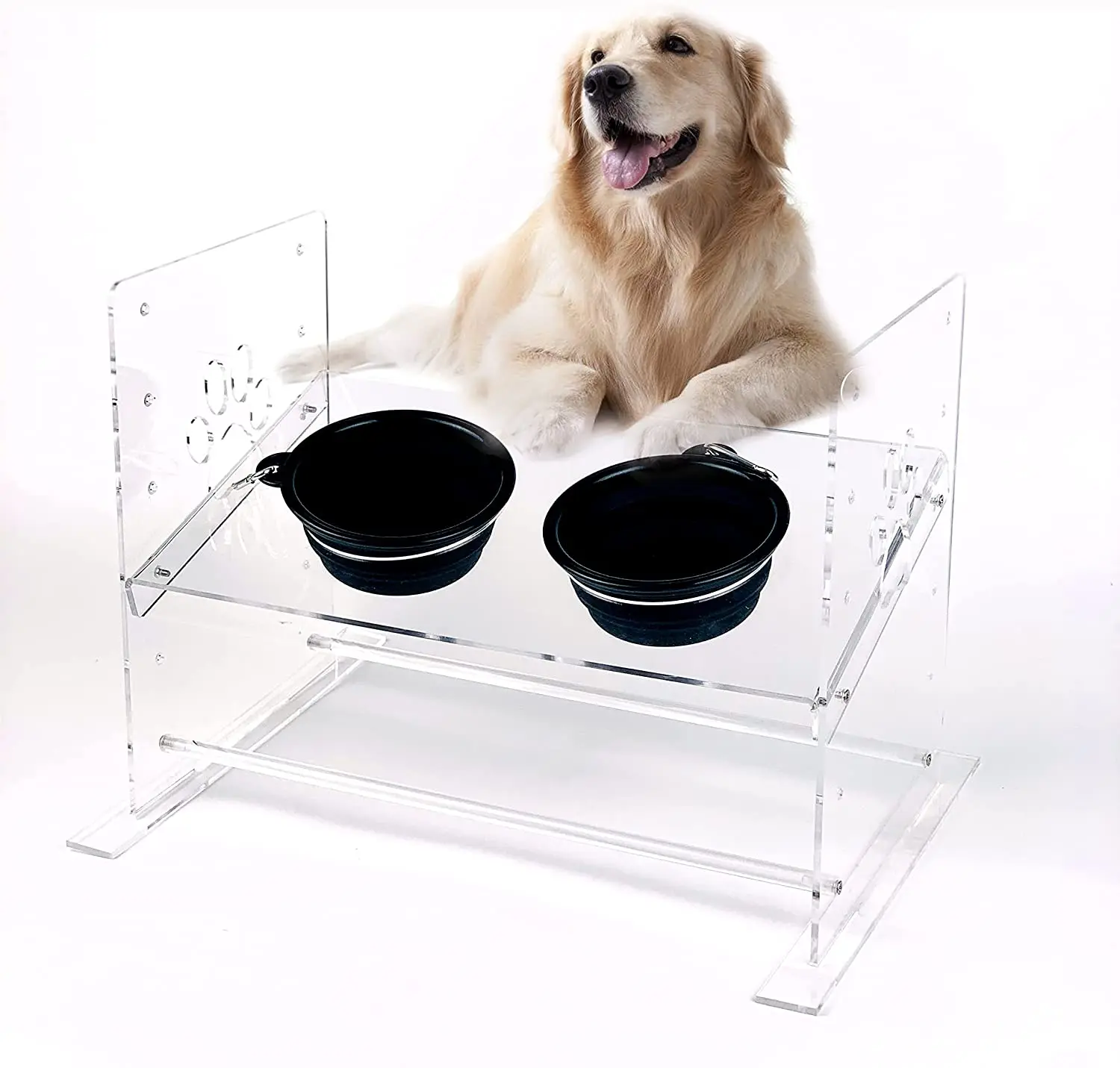 Is It Better To Elevate Dog Food