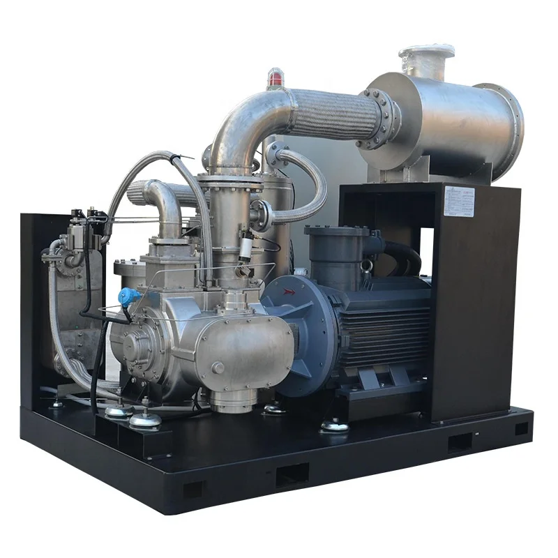 Natural Gas Compressor Small Gas Station Oil-free Air-cooled CNG Compressor