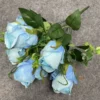 Primavera azzurro chiaro