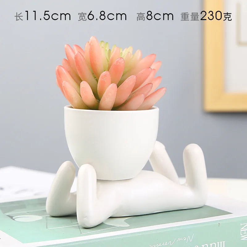 TESTA DI VASO Di Fiori Retro Succulente Planter Decorativo Vaso Da Fiori EUR 47,89 - FR