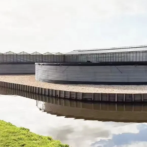 Aquaponics System Complete Growing Recirculating Aquaculture System With Fish Farming