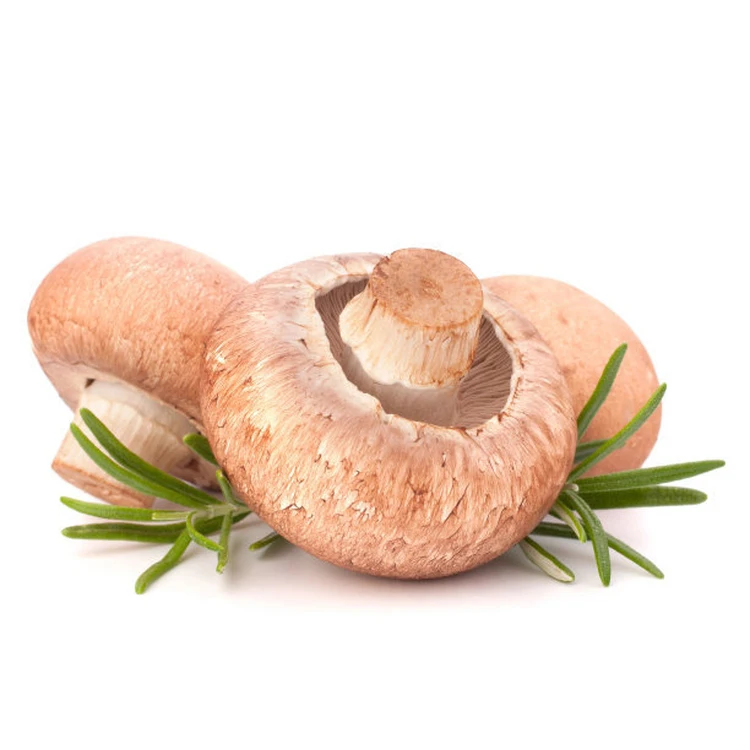 Precise Application Seasoned Good Taste Wild Magic Mushroom Dry Shiitake Slices For Household Daily Eating Food