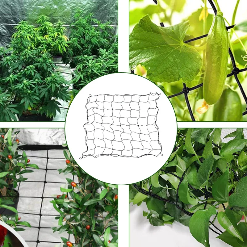 Rete A Traliccio 60 X 60 Cm, Rete Scrog Con Ganci, Rete A Traliccio Per Tenda Da Coltivazione Rete Per Piante Pesanti Rete Di Supporto Elastico 91662710