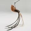 vida bird-brown