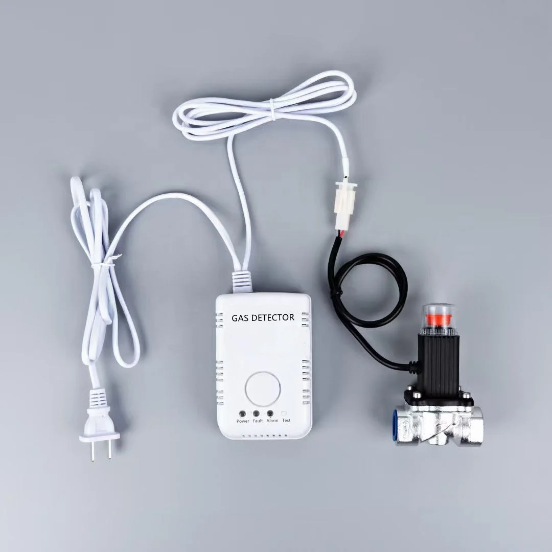 Wall Mounted Cooking Gas Measure Detector Natural Gas Sensor CH4 Fixed Gas Detector