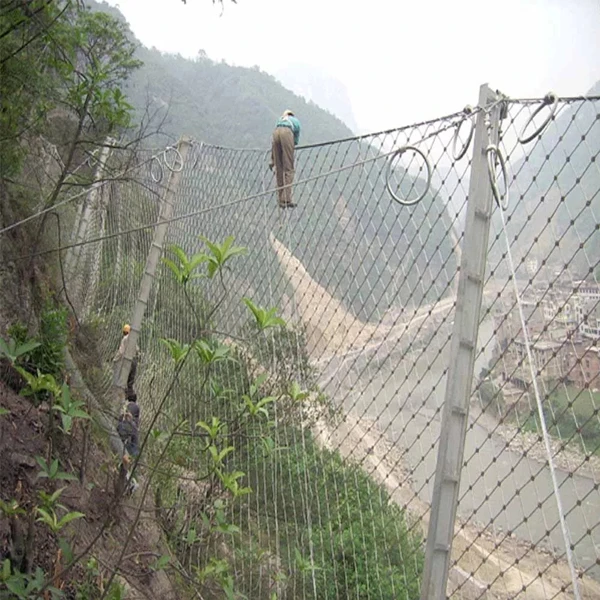 Factory Produce Slope Protection Net Rock Fall Netting Hot Dipped Galvanized Rockfall Barrier