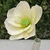 Flor grande de color blanco lechoso.